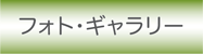 japanese photos button