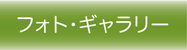 japanese photos button
